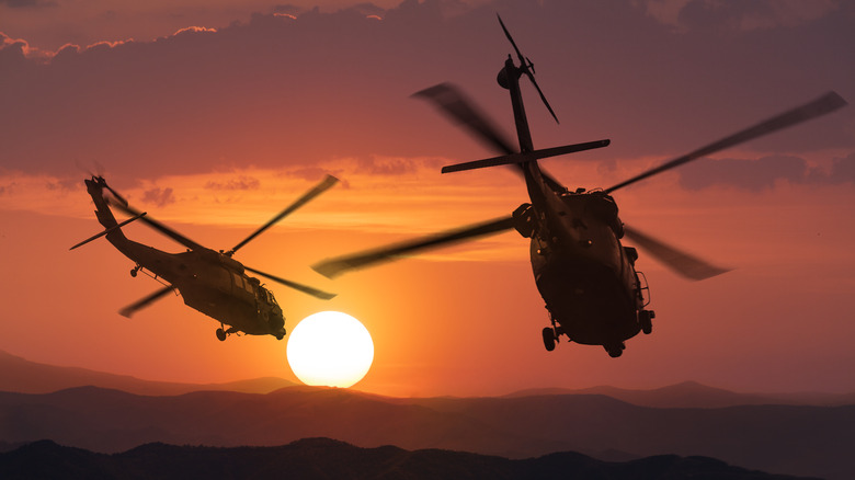 THE U.S. ARMY'S HELICOPTER FLEET IS BIGGER THAN YOU THINK - Jonathan H ...